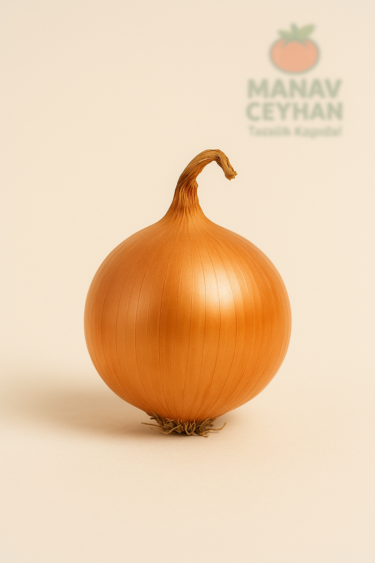 soğan(beyaz)