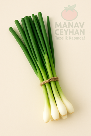 yeşil soğan