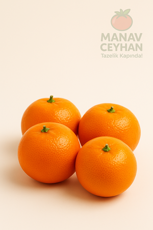 mandalina