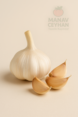 sarımsak