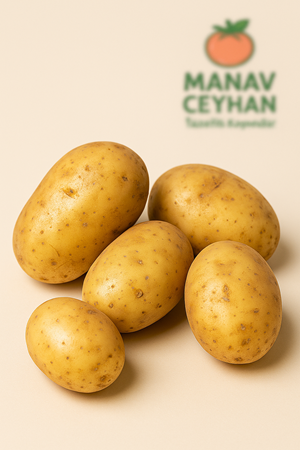 patates