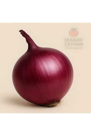 soğan(kırmızı)